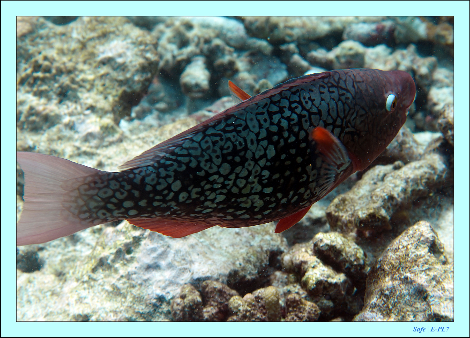 2023 - 07 - Sandies Bathala - 154